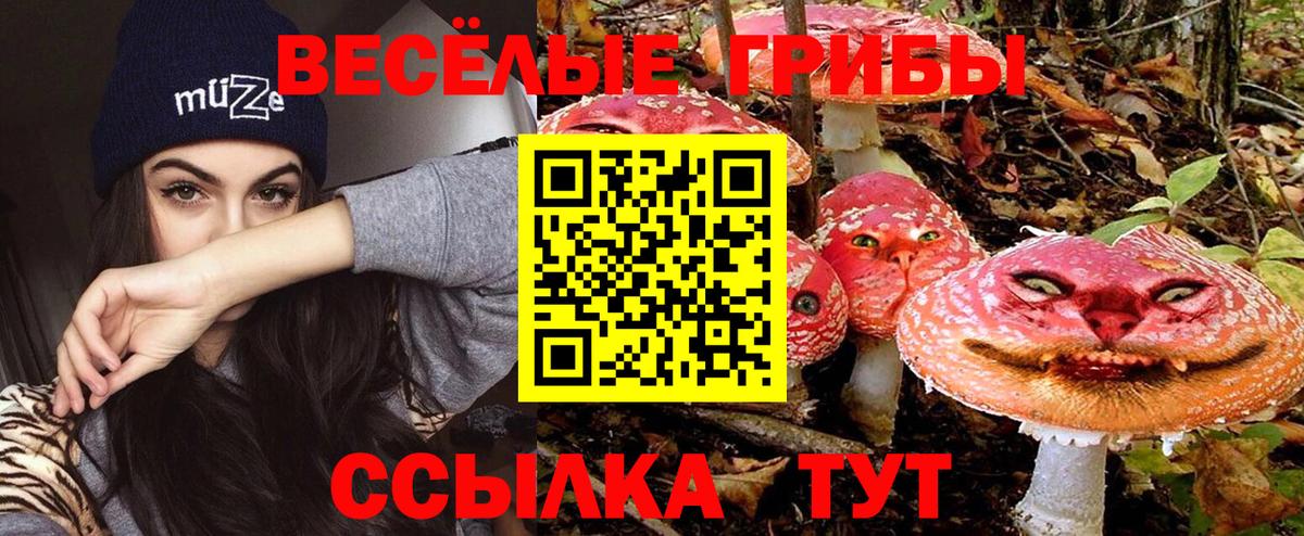 Артём  закладки  Вход с VPN  Псилоцибиновые грибы Cubensis 