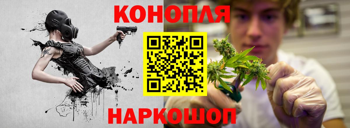 Конопля сатива Артём